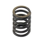 NH9147   Valve Spring